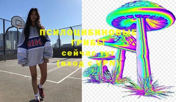 2c-b Беломорск