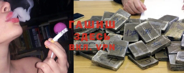 стафф Богородицк