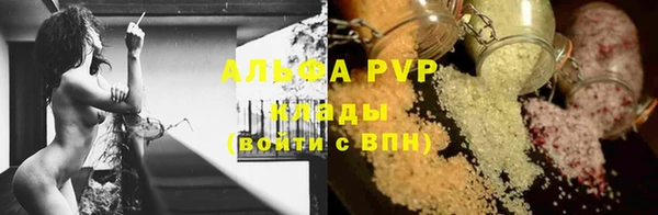 стафф Богородицк