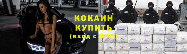 стафф Богородицк
