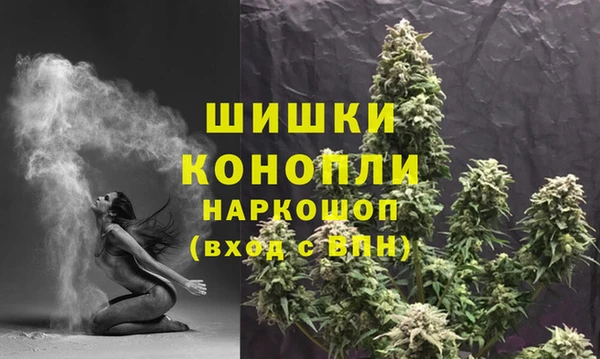 стафф Богородицк